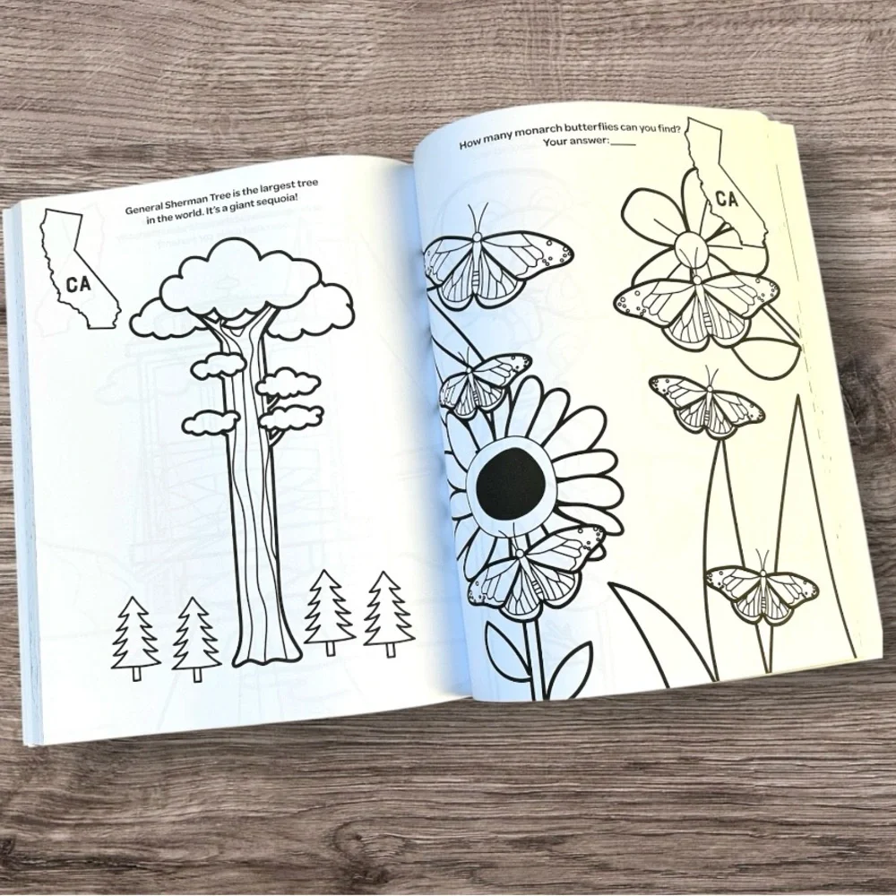 ✅ 5 for $25 - New Educational Coloring: My Big American Road Trip Coloring Book - Picture 5 of 9